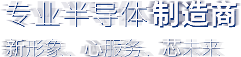 專業半導體制造商
